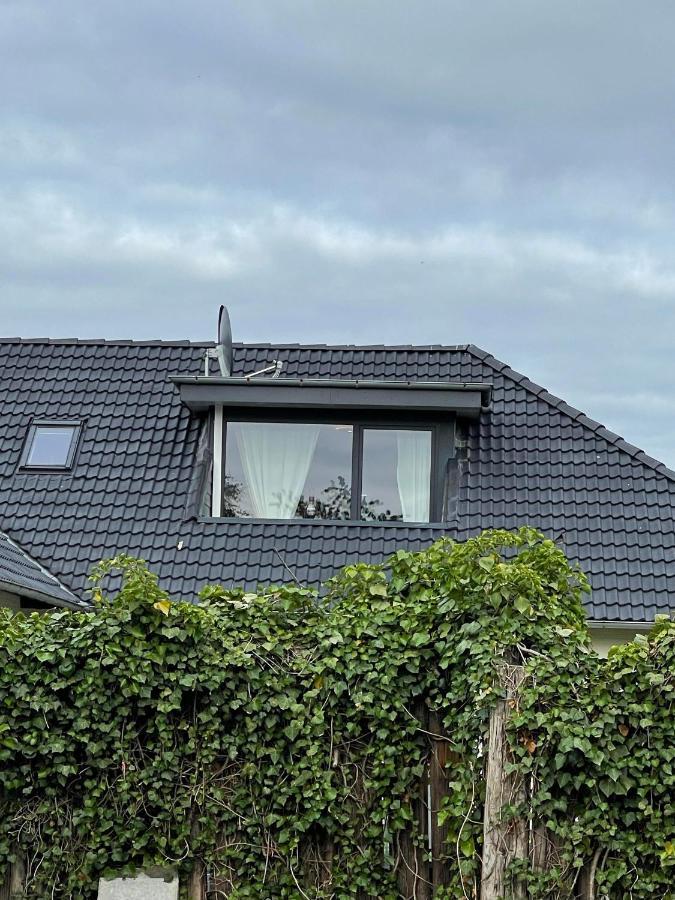 Ferienwohnung Uhse Wohlfühloase Heide  Exterior foto